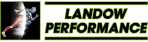 LP Logo LP Logo